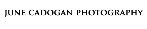 June Cadogan large logo